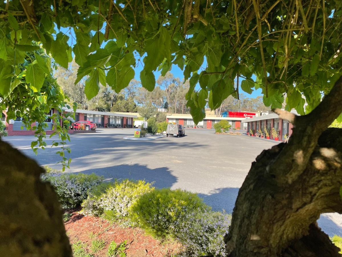 Seymour Motel Ngoại thất bức ảnh